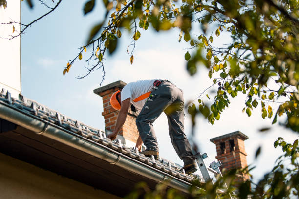 Quick and Trustworthy Emergency Roof Repair Services in Plano, TX